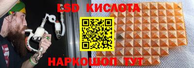 дживик Славгород