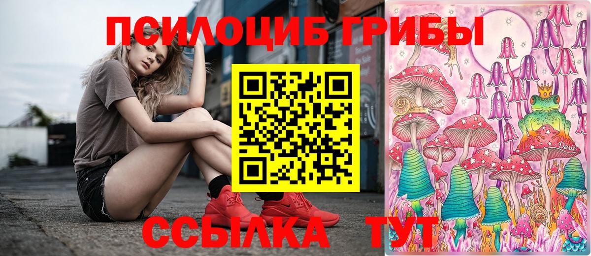 Галлюциногенные грибы Cubensis Новошахтинск
