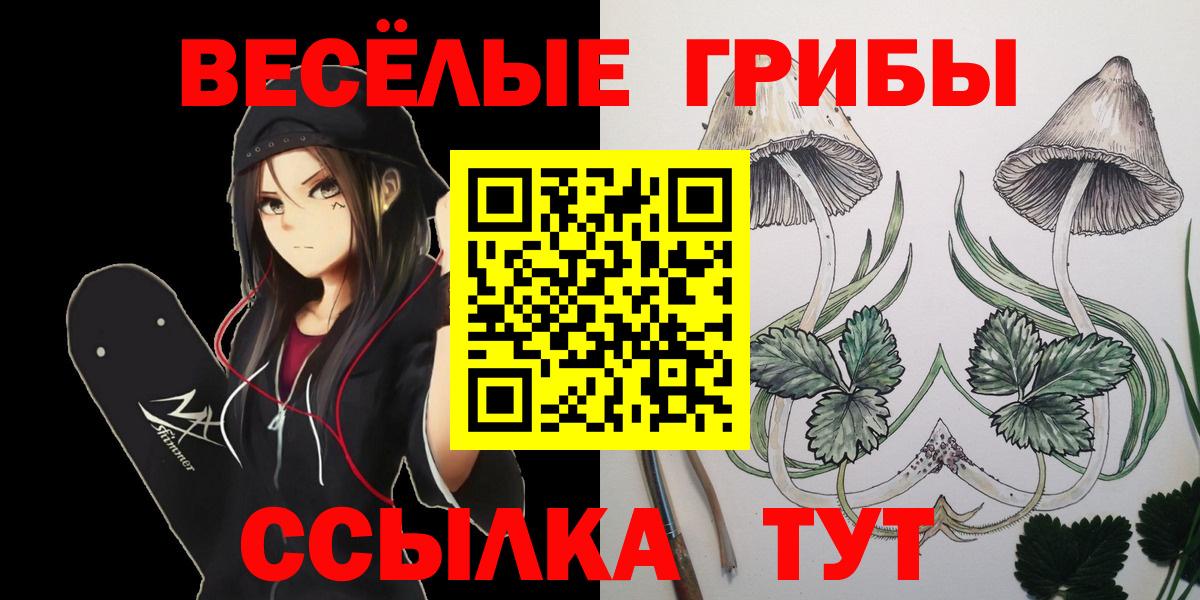 Псилоцибиновые грибы ЛСД  Псилоцибиновые грибы ЛСД  Новошахтинск  Вход с VPN 